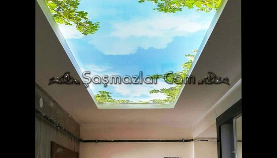 Cam Tavan Uygulamaları